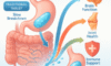 Gel-Based Supplements: Unlock Essential Advantages